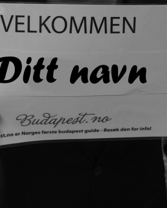 Limmo fra flyplassen - minibuss tilbake! Limmo fra flyplassen - minibuss tilbake!