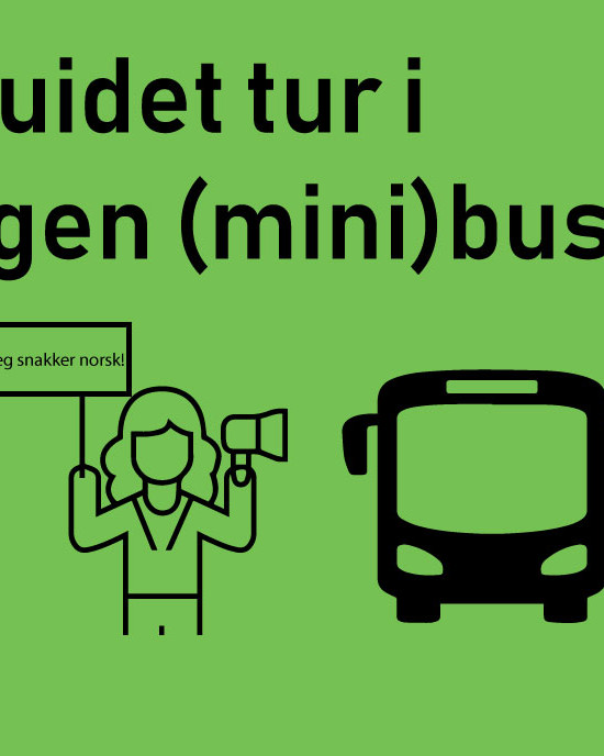 Minibuss guiding fra flyplass i Budapest