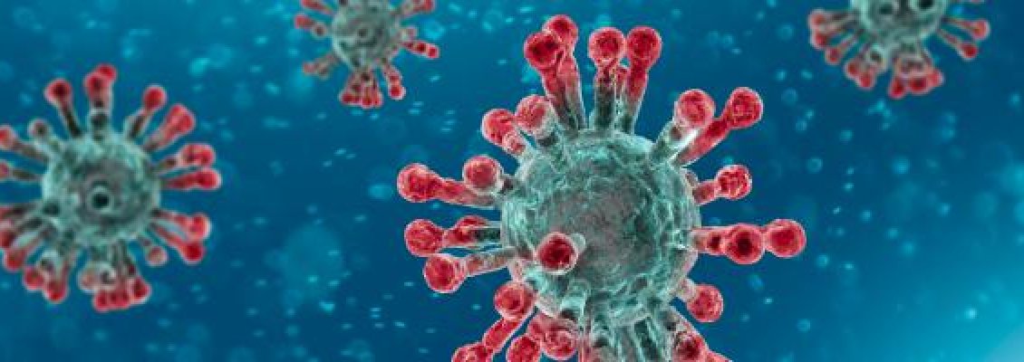 Informasjon om coronavirus i Ungarn og Budapest Informasjon om coronavirus i Ungarn og Budapest