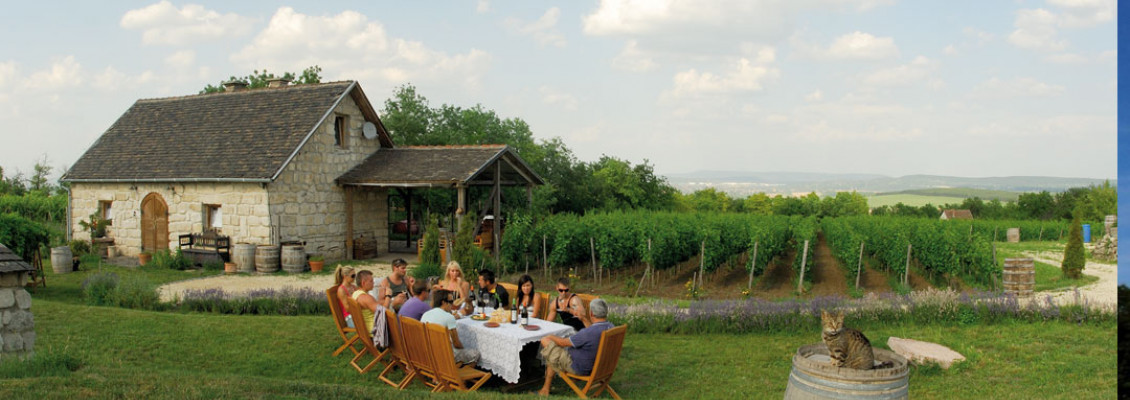 Last minute: Vingårdsbesøk Budapest med 3 retter lunsj